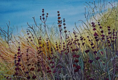 Une prairie sauvage pleine de vie - Luisa Millicent