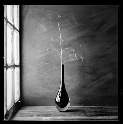 Vase minimaliste en forme de branche - Luiz Laercio