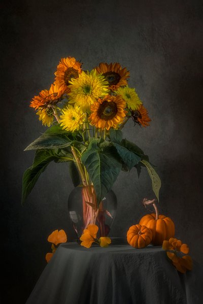 Tournesols et citrouilles d