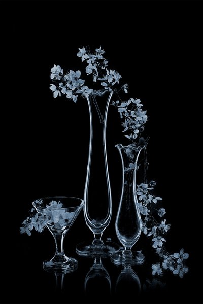 Fleurs bleues dans des vases en verre - Lydia Jacobs