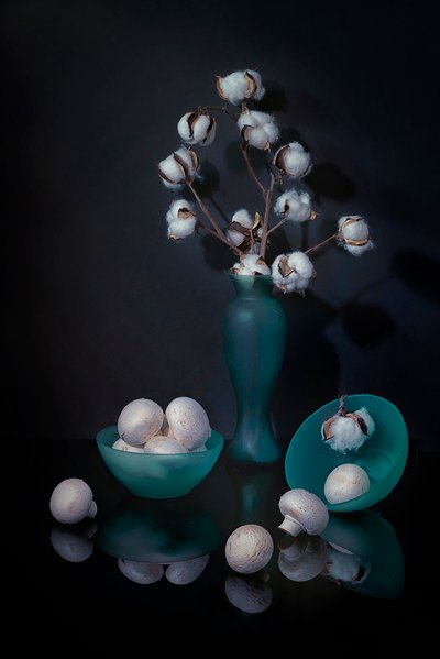 Nature morte au coton et aux champignons - Lydia Jacobs