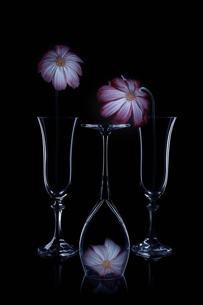 Flûtes en verre « Delicate Blooms » - Lydia Jacobs