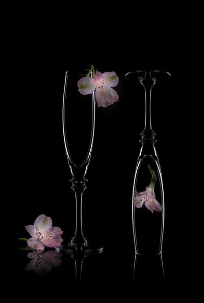 Élégance florale délicate - Lydia Jacobs