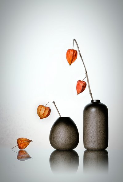  - Lydia Jacobs