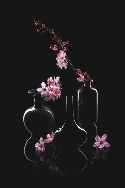 Vases « Blossom » élégants - Lydia Jacobs