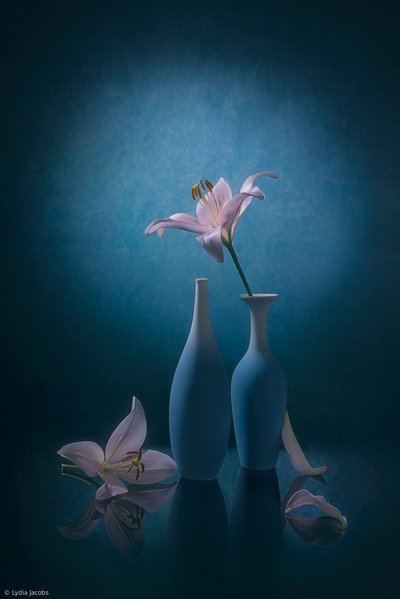  - Lydia Jacobs