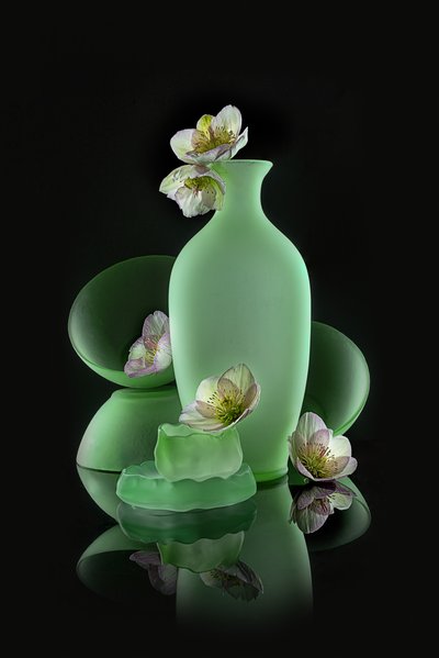 Motif floral vert élégant - Lydia Jacobs
