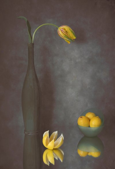 Tulipes gracieuses et citrons - Lydia Jacobs