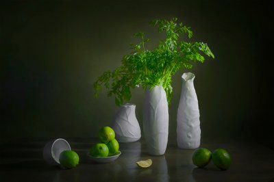 Nature morte moderne aux citrons verts - Lydia Jacobs