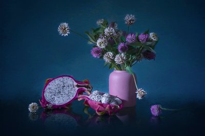 Fleurs de fruit du dragon « Moody » - Lydia Jacobs
