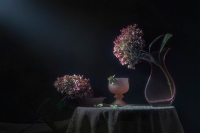 Nature morte aux hortensias de Moody - Lydia Jacobs