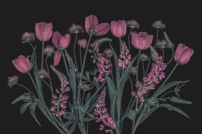  - Lydia Jacobs