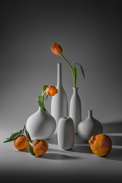 Tulipes orange et mandarines - Lydia Jacobs