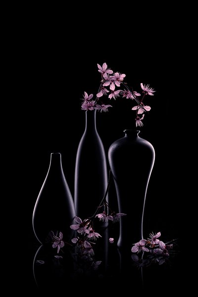 Fleurs roses dans des vases sombres - Lydia Jacobs