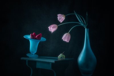 Tulipes roses et fraises - Lydia Jacobs