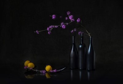 Nature morte aux baies violettes, version sombre - Lydia Jacobs