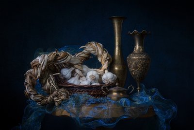  - Lydia Jacobs