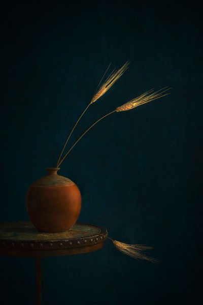  - Lydia Jacobs