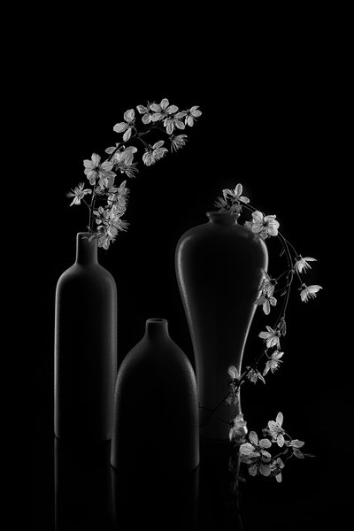 Composition florale sereine - Lydia Jacobs