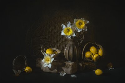  - Lydia Jacobs