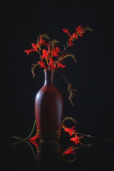 Nature morte au rouge éclatant - Lydia Jacobs