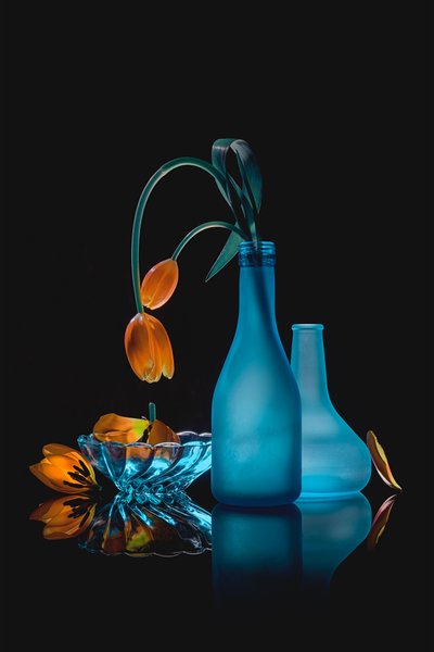 Nature morte aux tulipes fanées - Lydia Jacobs