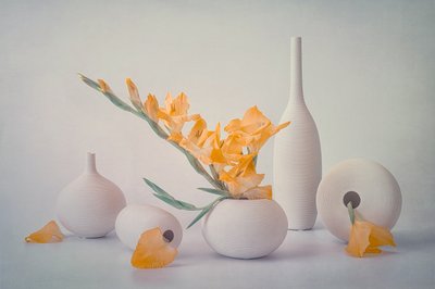 Fleurs jaunes dans des vases blancs - Lydia Jacobs