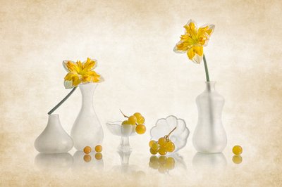 Jonquilles jaunes et raisins - Lydia Jacobs