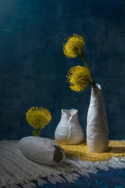 Nature morte à la protéa jaune - Lydia Jacobs