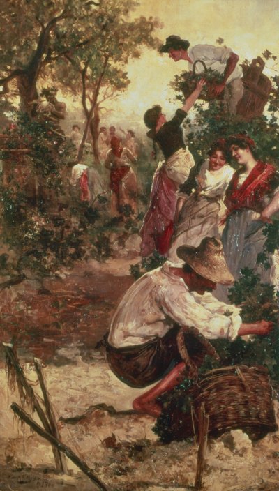 La récolte des raisins - M.F. Moles