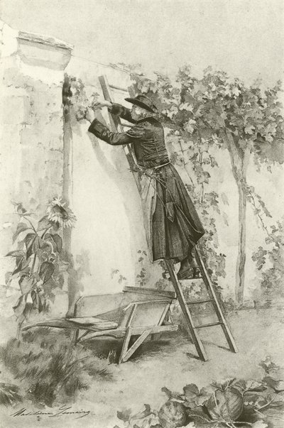 Abbé Constantin (gravure) - Madeleine Lemaire