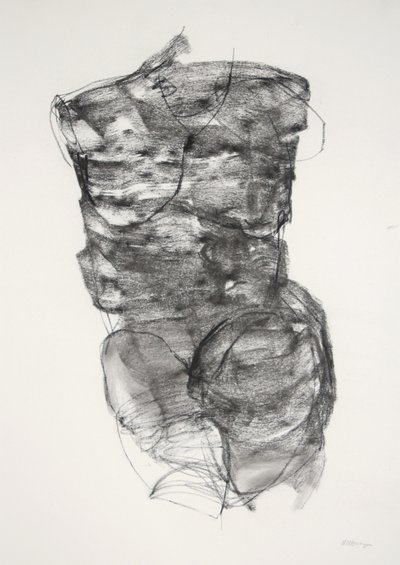 Torse 4, 2022 (fusain sur papier) - Madgalena Morey