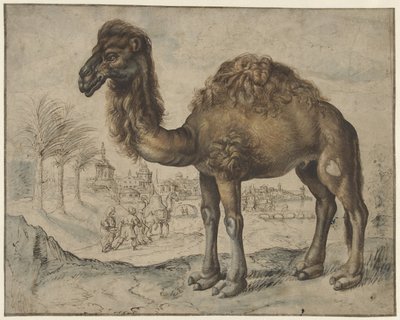 Dromadaire dans un paysage oriental avec une ville - Maerten de Vos
