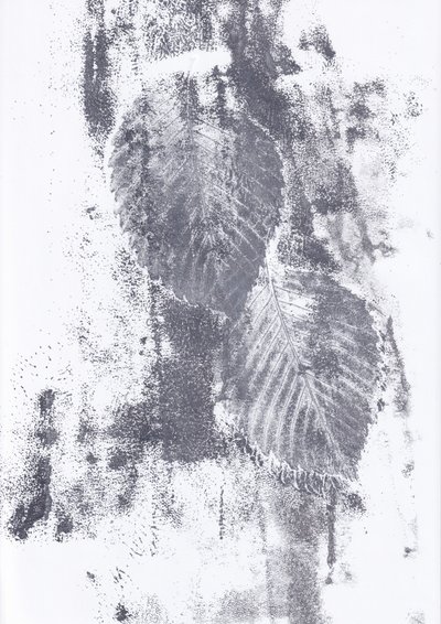Textures abstraites de feuilles - Maira Ribena