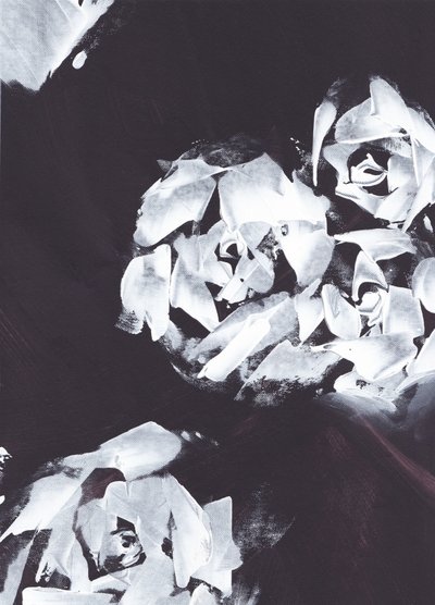Motif floral blanc abstrait - Maira Ribena