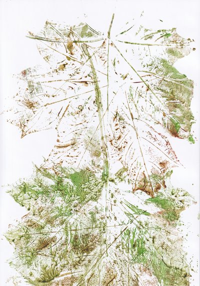 Impressions de feuilles d