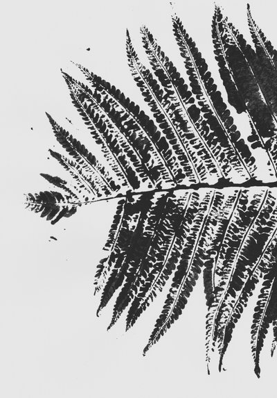 Silhouette de fougère botanique - Maira Ribena