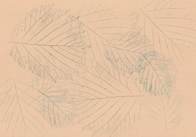 Motif de feuilles végétales - Maira Ribena