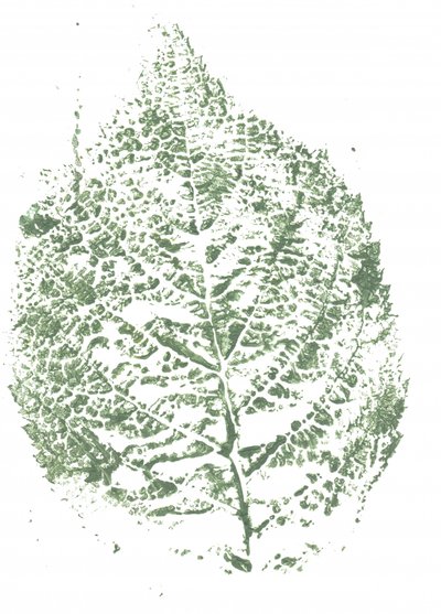 Imprimé botanique à feuilles - Maira Ribena