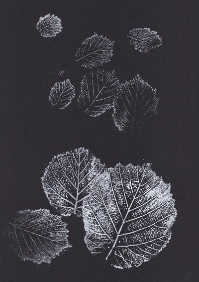 Imprimés botaniques de feuilles - Maira Ribena