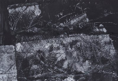 Texture organique sombre - Maira Ribena