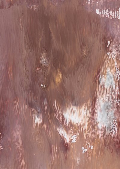 Abstrait fluide aux tons terreux - Maira Ribena