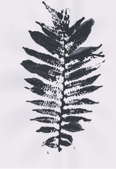 Feuille d