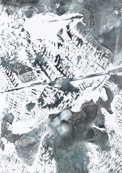 Feuillage hivernal éthéré - Maira Ribena
