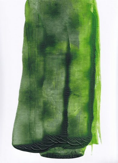 Fluid Green - Résumé - Maira Ribena