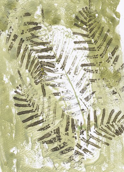 Impressions de Green Fern - Maira Ribena