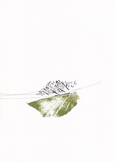 Feuilles vertes et branches nues - Maira Ribena
