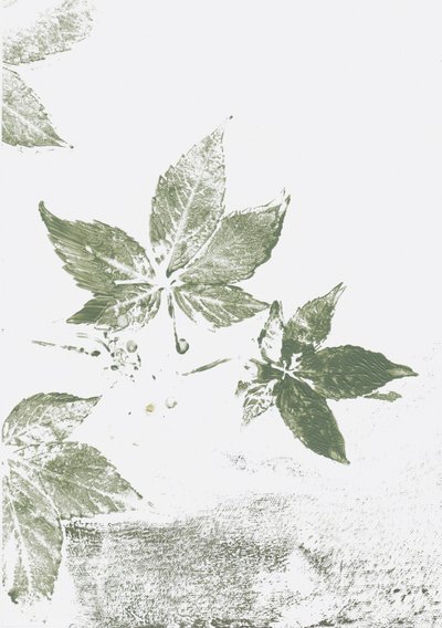 Impressions de feuilles vertes - Maira Ribena