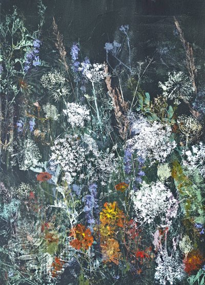  - Maira Ribena
