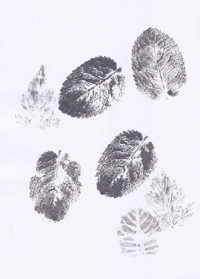 Empreintes de feuilles de menthe - Maira Ribena